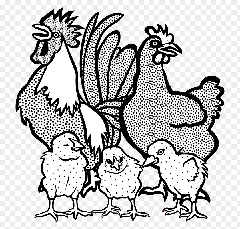 Chicken Drawing Line Art Rooster Clip PNG