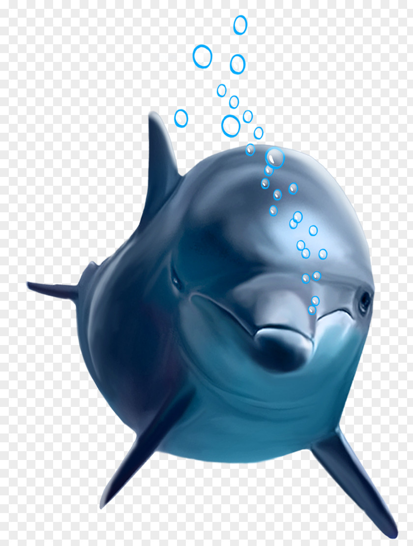 Dolphin Common Bottlenose PNG