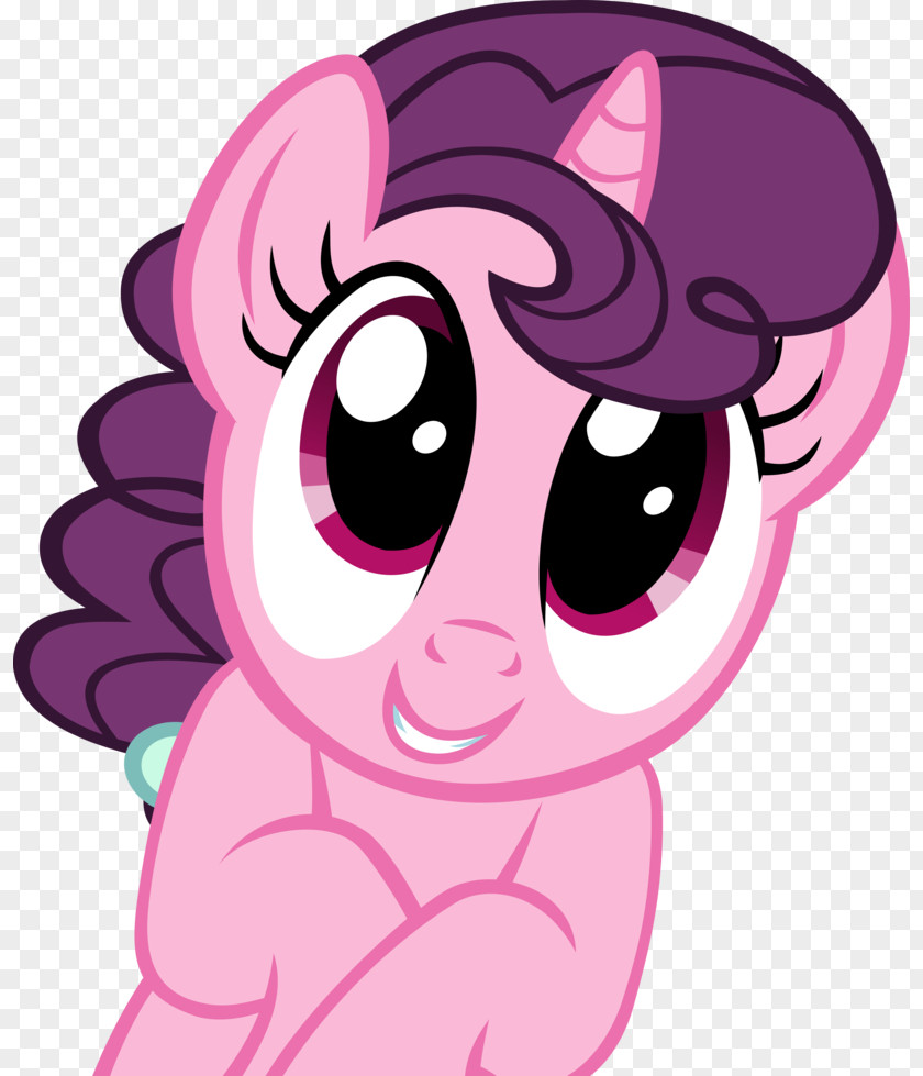 My Little Pony Pinkie Pie Rainbow Dash Rarity Derpy Hooves Applejack PNG