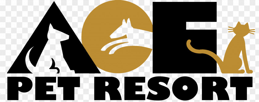 Ace Dog Daycare Pet Sitting Resort PNG