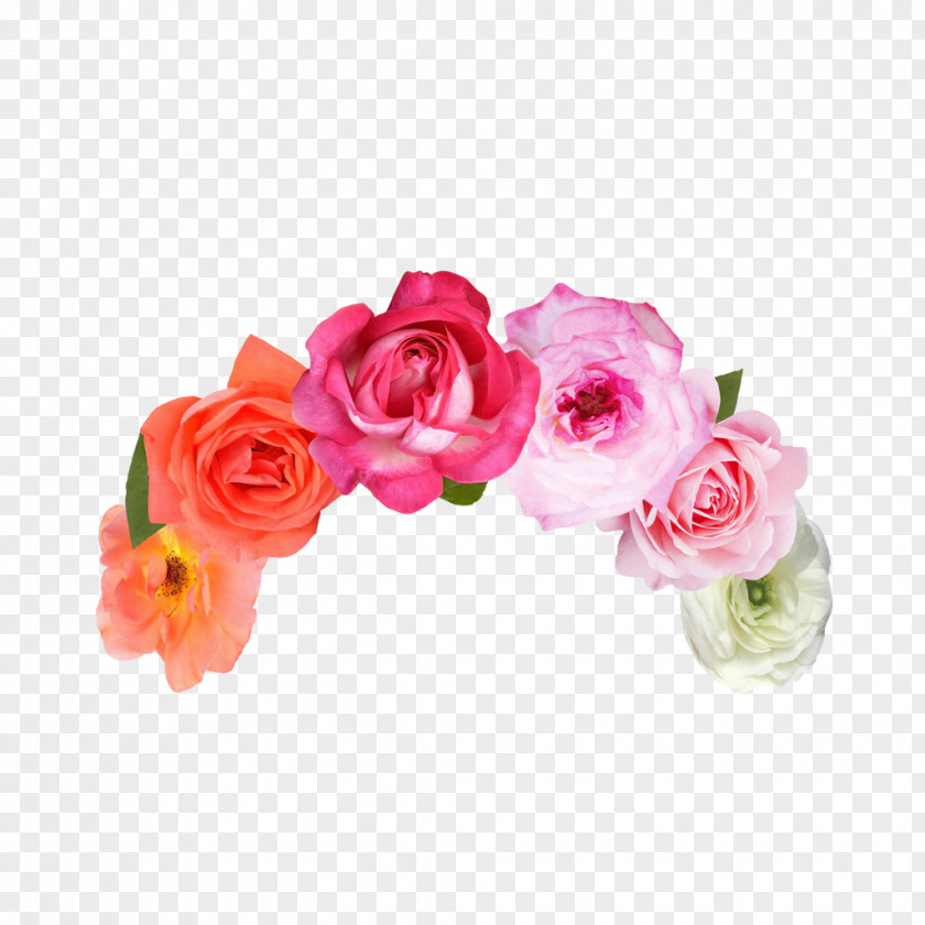 Band Cut Flowers Garden Roses Floristry PNG