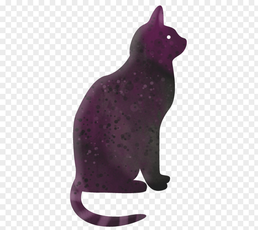 Cute Cat Kitten Dog Photography Illustration PNG