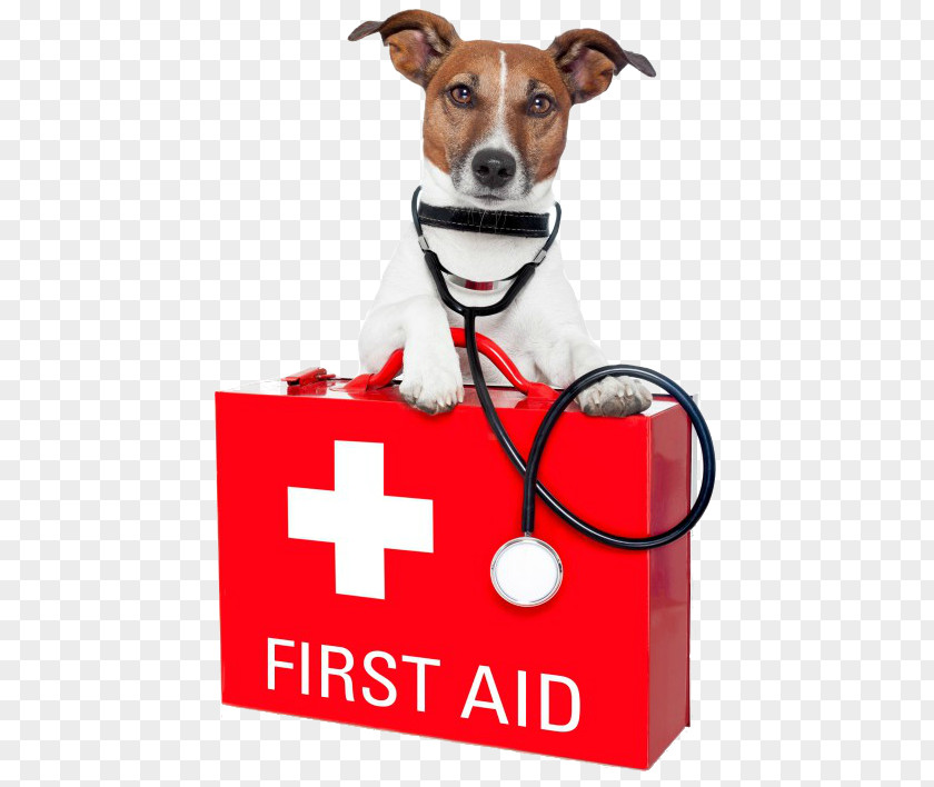 Dog Pet Sitting First Aid & Emergency Kits Supplies PNG