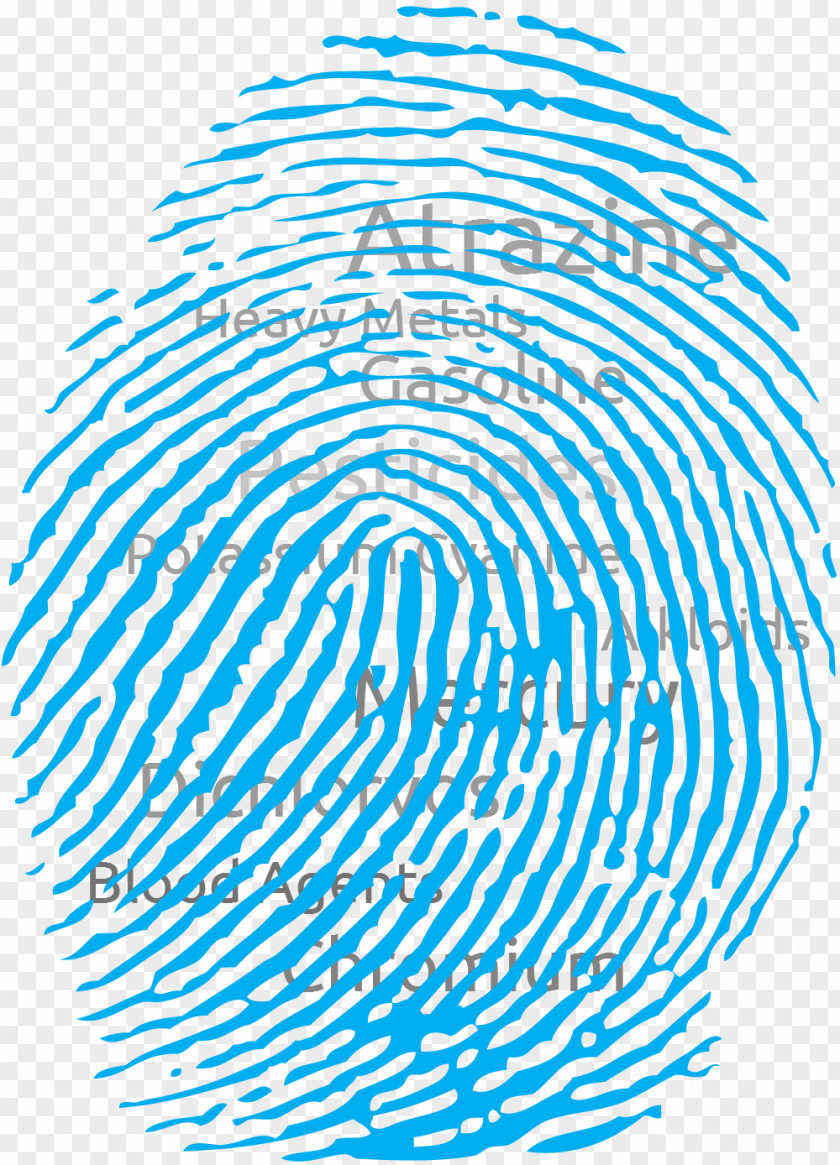 Fingerprints Fingerprint Clip Art PNG
