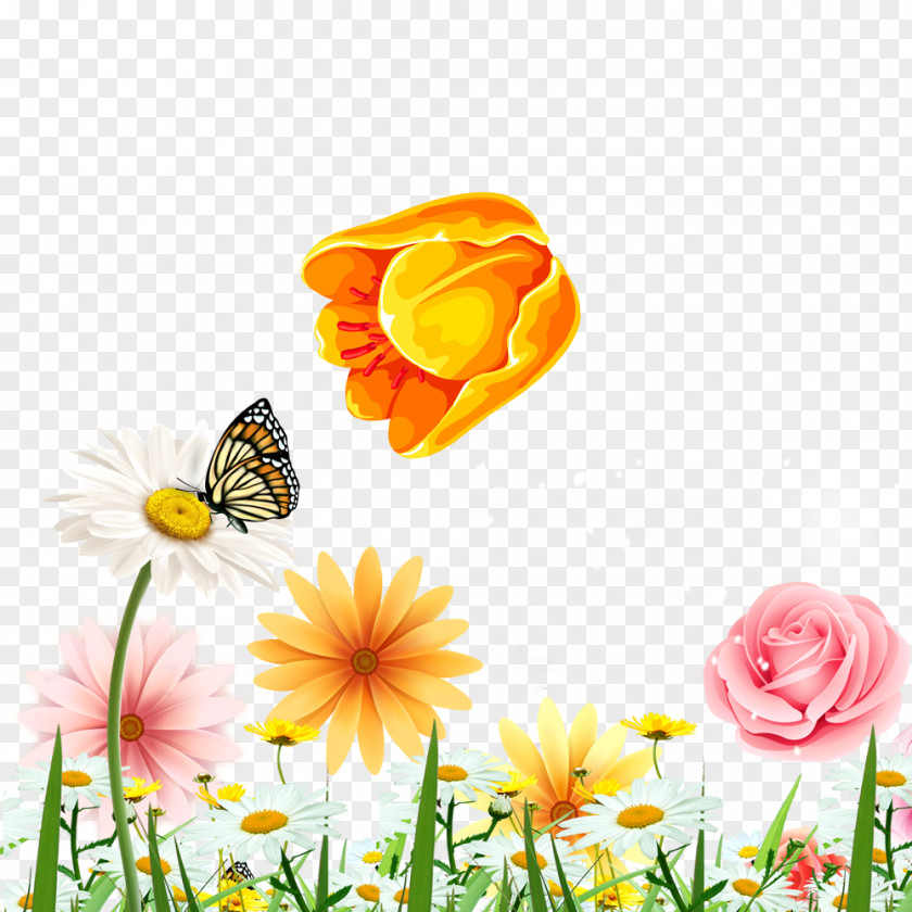 Floral Background Butterfly Flower PNG