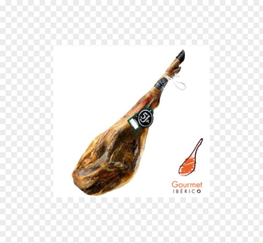 Ham Black Iberian Pig Jabugo Jamón Ibérico PNG