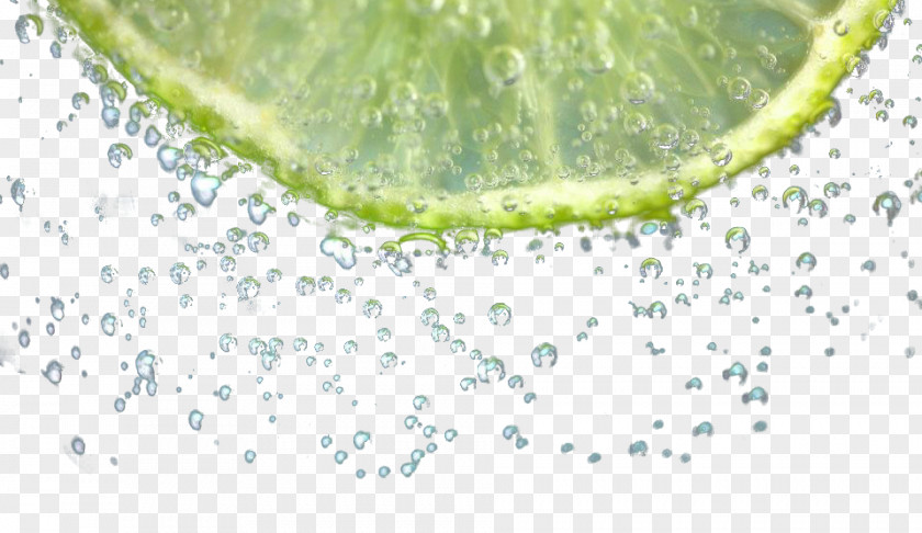 Lemon Water Vapor Lime Lemonade PNG