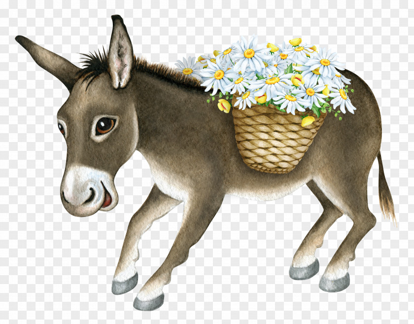 Little Donkey Christmas Photography Creative Market Illustration PNG