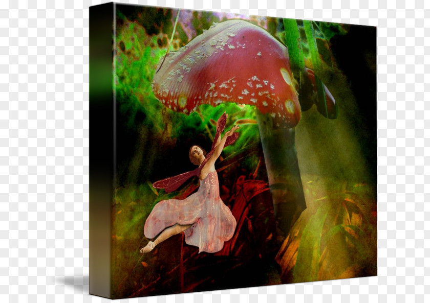 Mushroom Medicinal Fungi Medicine Organism PNG