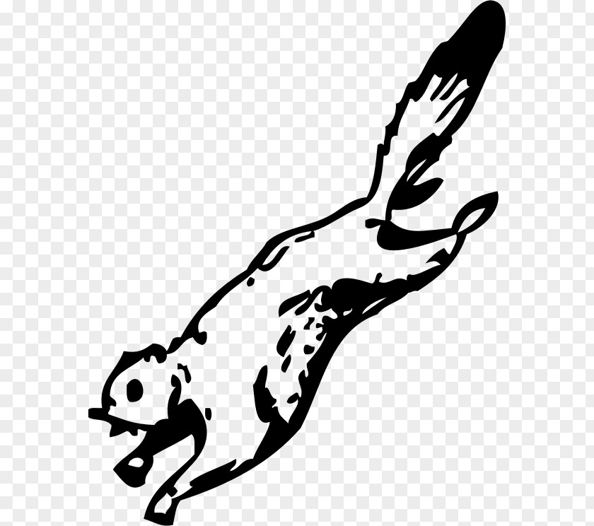 Squirrel Flying Coloring Book Sandy Cheeks Clip Art PNG