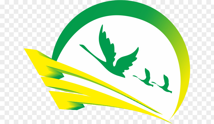 Biofeedback Icon Clip Art Leaf Logo Brand Green PNG