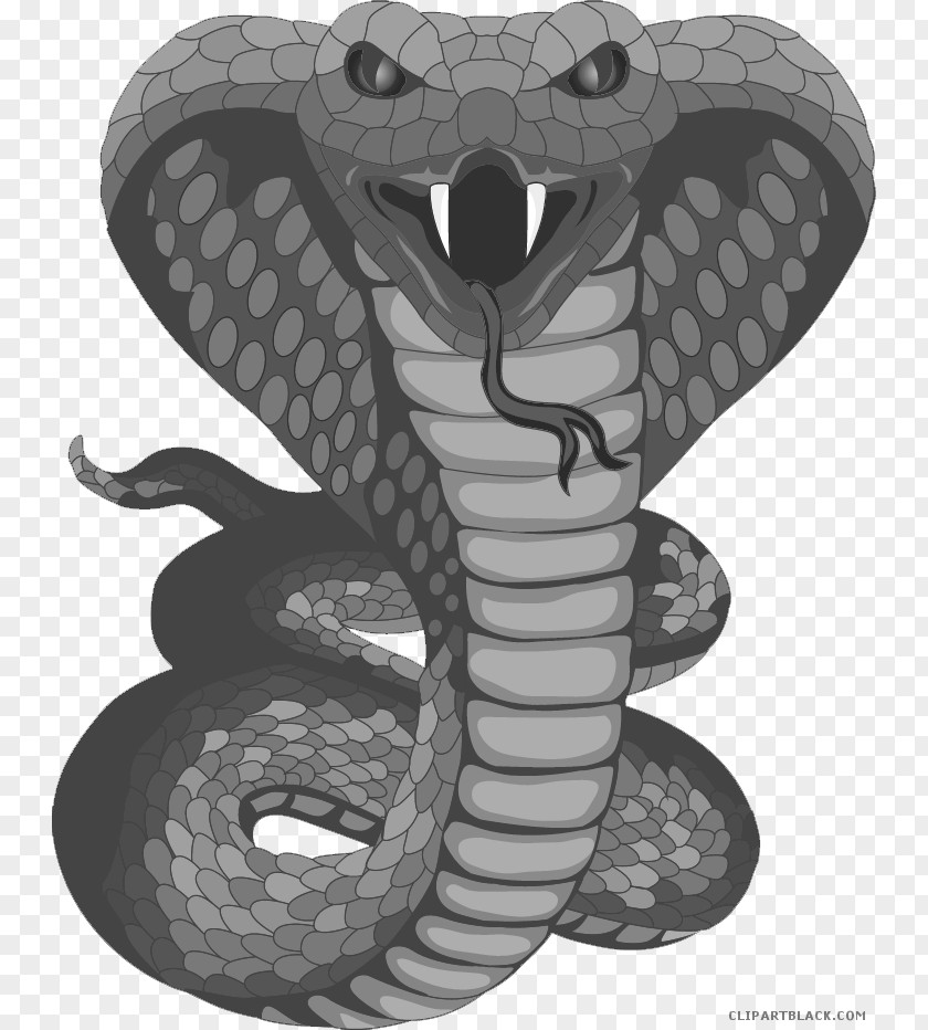 Cobra Snakes Tattoo King Clip Art PNG