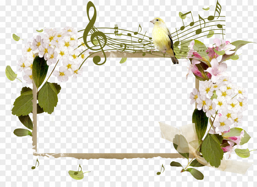 Flower Border Musical Note Photomontage PNG
