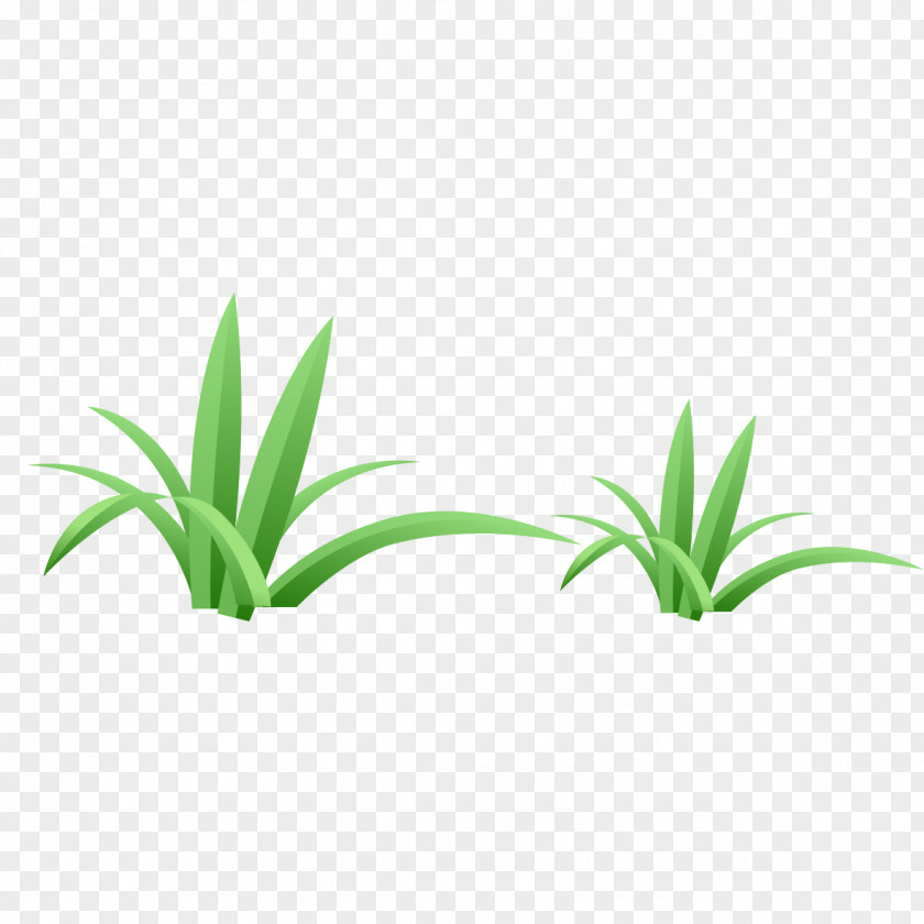 Green Grass Euclidean Vector PNG