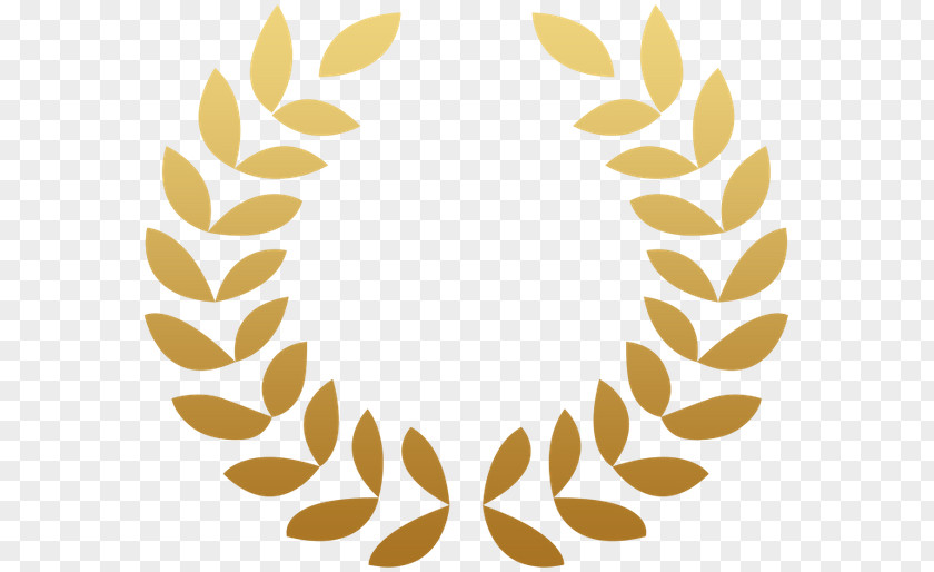 Leaf Laurel Wreath Bay Award Clip Art PNG