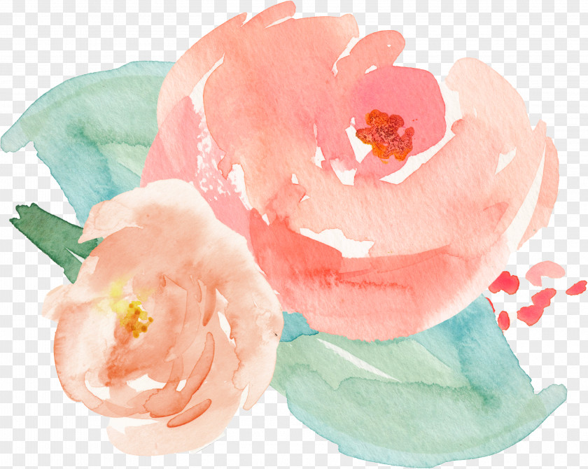 Rose Garden Roses Spoonflower Textile Wallpaper PNG