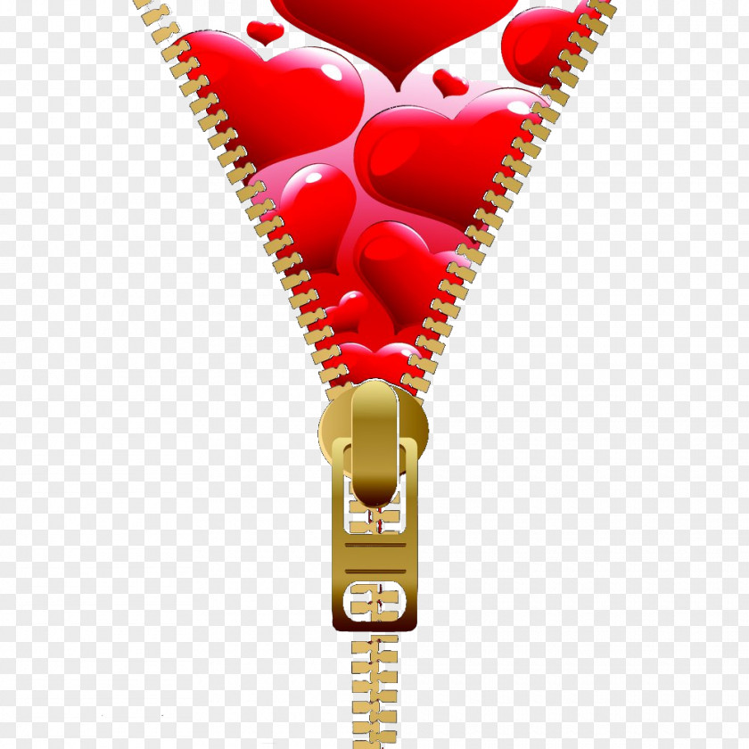 Zipper Inside Love Icon PNG