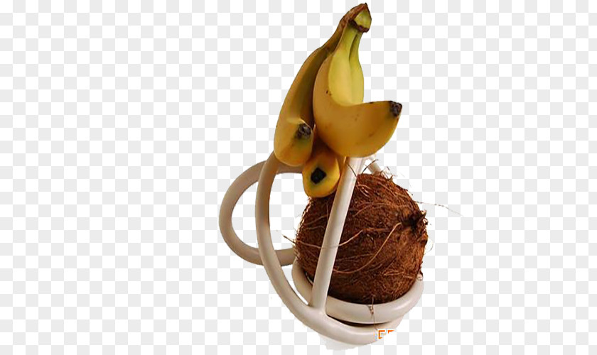 Banana Coconut Creativity Auglis Fruit PNG