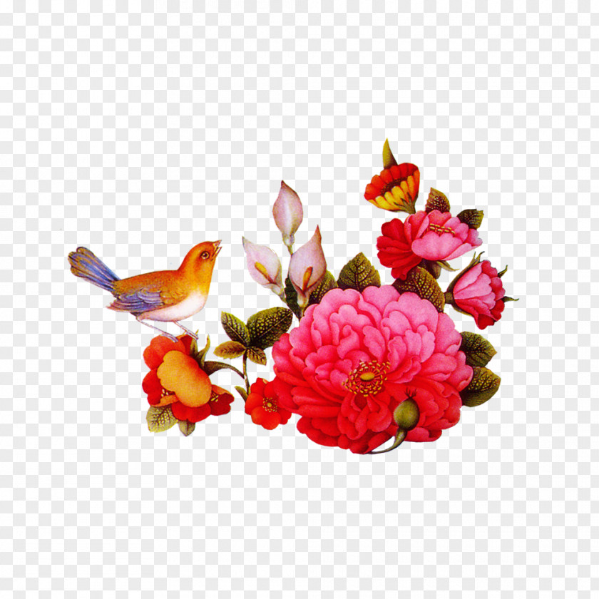 Chicken Gul-i-bulbul Floral Design Flower PNG