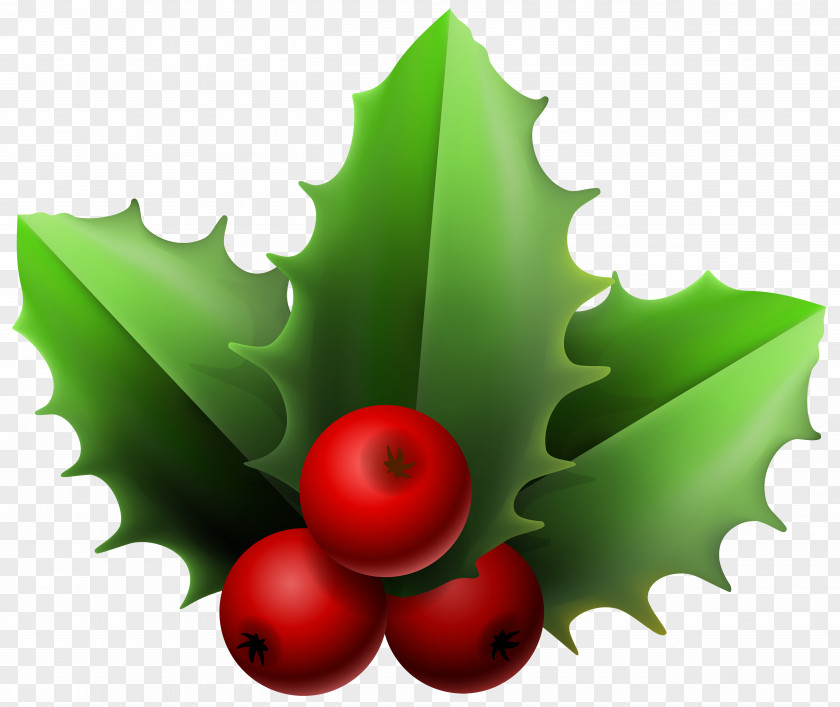 Christmas Mistletoe Clipart Image Clip Art PNG