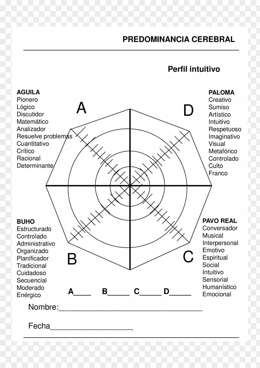 Design Drawing Document Product Point PNG