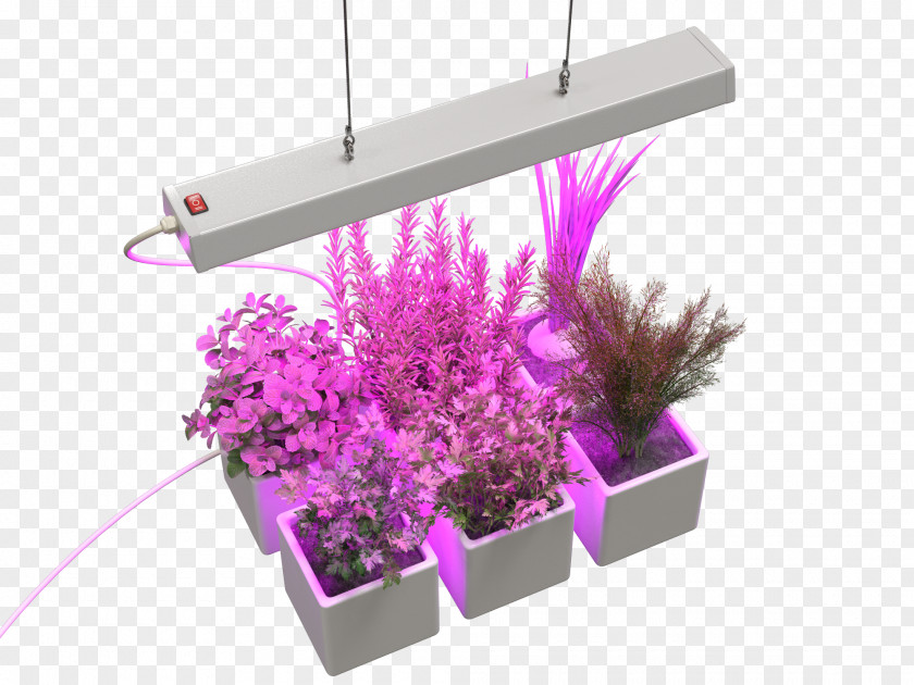 Light Light-emitting Diode Cold Frame Greenhouse Gardening PNG