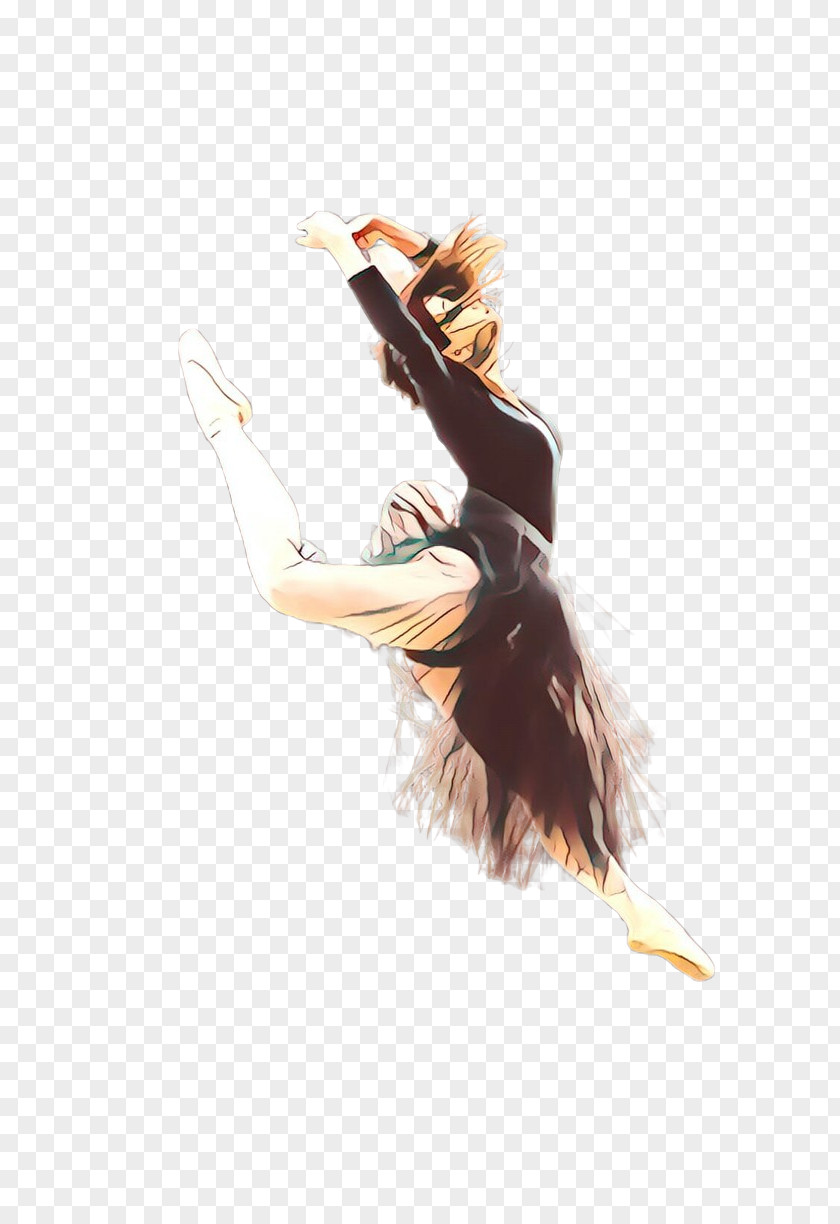 Modern Dance Feather PNG