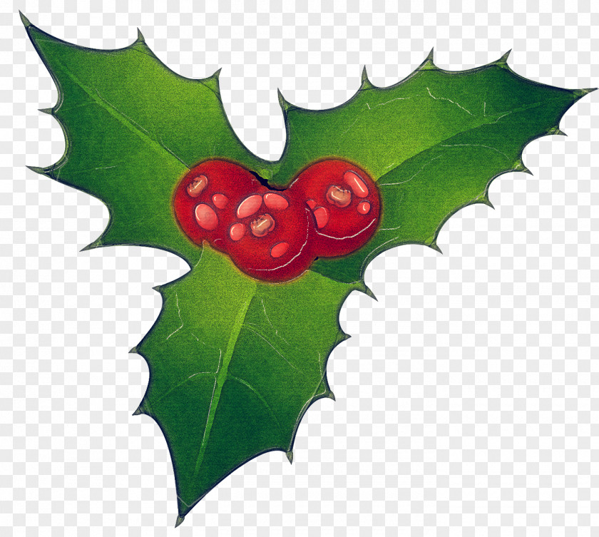 Tree Flowering Plant Holly PNG