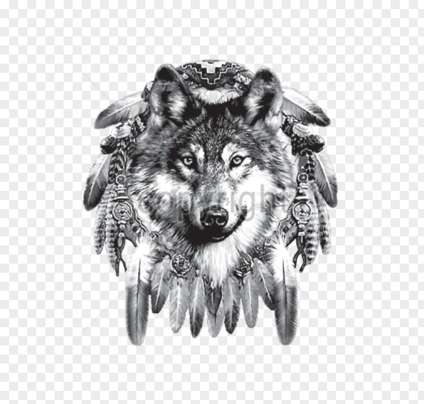 Dreamcatcher Indian Wolf Native Americans In The United States Indigenous Peoples Of Americas Cherokee PNG