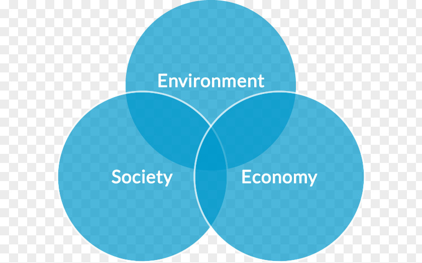 Natural Environment The And Social Policy Organization Marine Strategy Framework Directive PNG