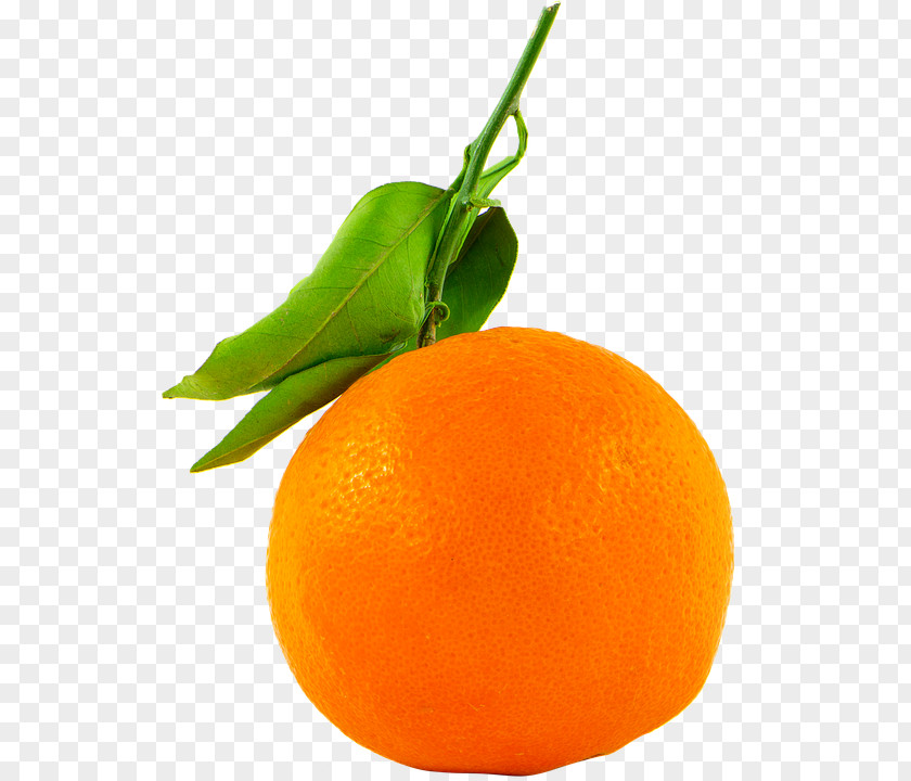 Orange Bergamot Fruitarianism Juice PNG