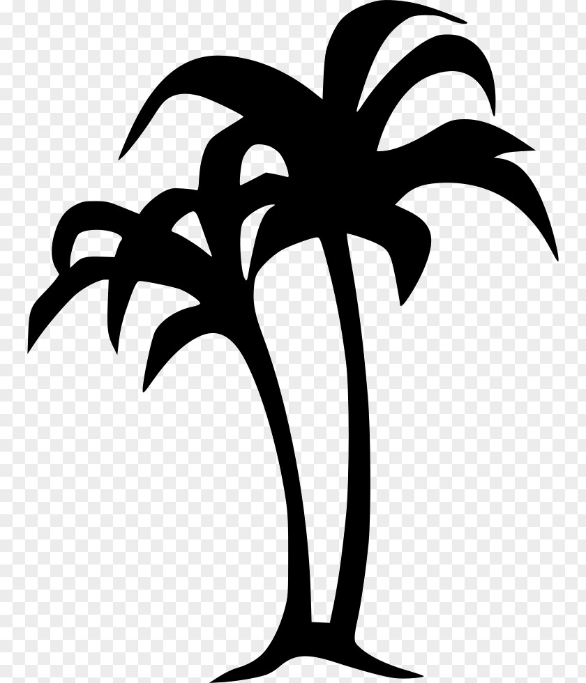 Tree Arecaceae Date Palm Clip Art PNG