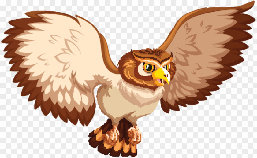 Vector Graphics Clip Art Owl Image PNG