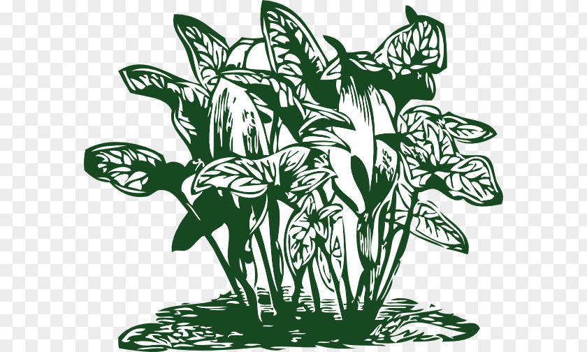 Vegetation Cliparts Plant Clip Art PNG