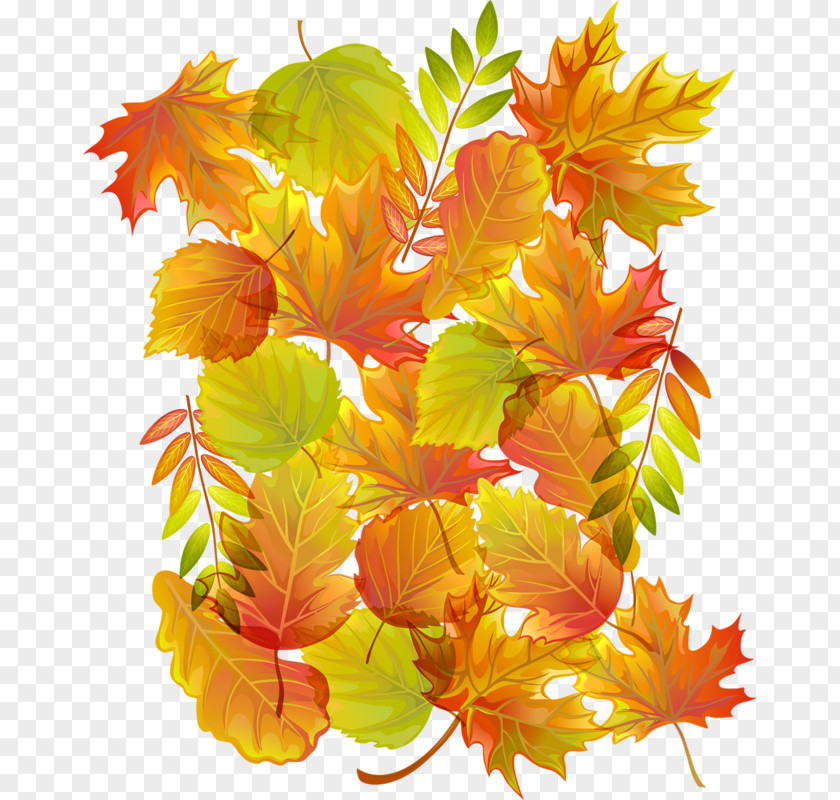 Autumn Image JPEG Clip Art PNG