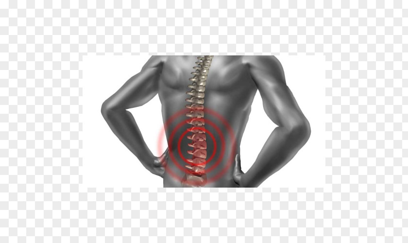 Back Pain Physical Therapy Vertebral Column Acupuncture Human PNG