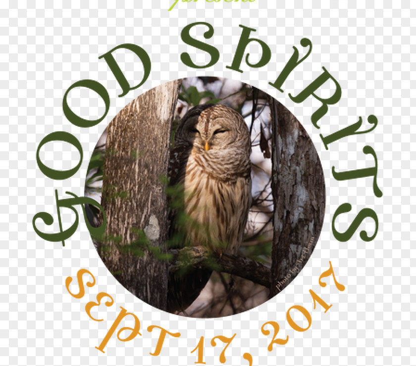 Cat Whiskers Sweetheart Sale Owl Fauna PNG