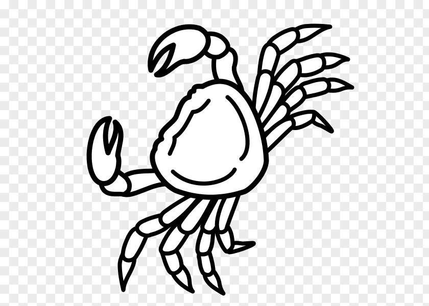 Crab Drawing Clip Art /m/02csf Image PNG