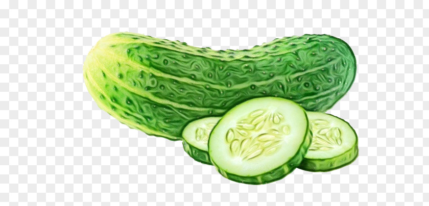 Cucumber Natural Food Superfood Plant Fruit PNG