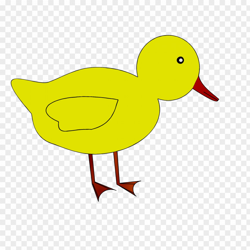 Duck Clip Art Beak Cartoon PNG