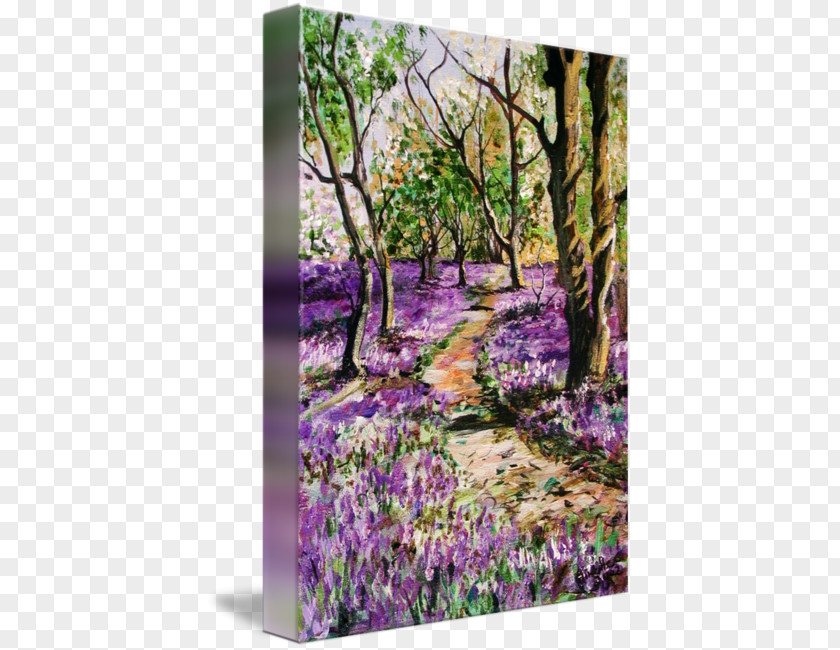 Forest Watercolor English Lavender Gallery Wrap Painting Woodland Bluebell Wood PNG