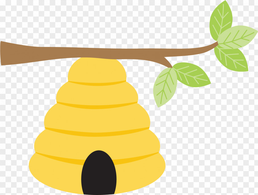 Fruit Membranewinged Insect Tree Wall PNG