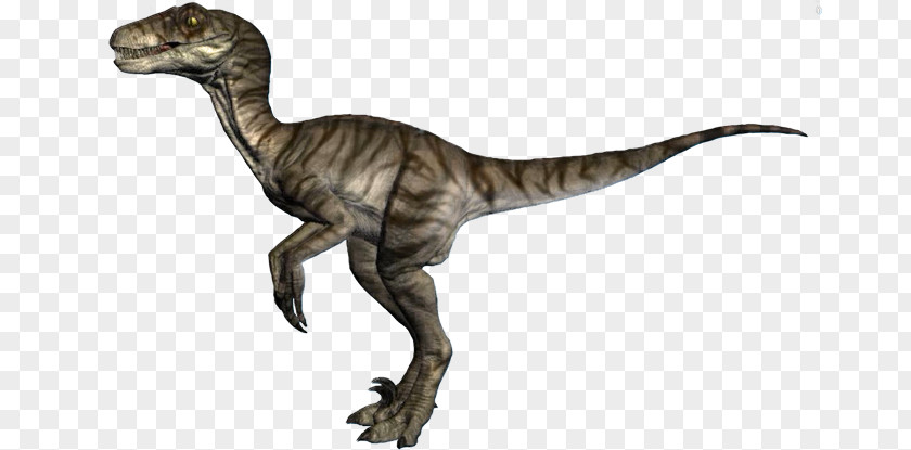 Jurassic World Evolution Velociraptor Yamaha Raptor 700R Tyrannosaurus Dinosaur PNG
