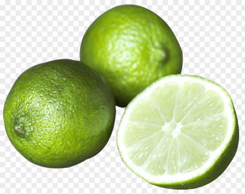Lime Persian Lemon Citrus Junos PNG