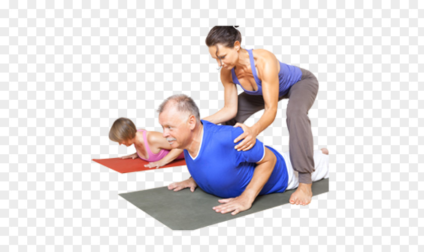 Yoga Exercise Balls Serenity Studio Personal Trainer PNG