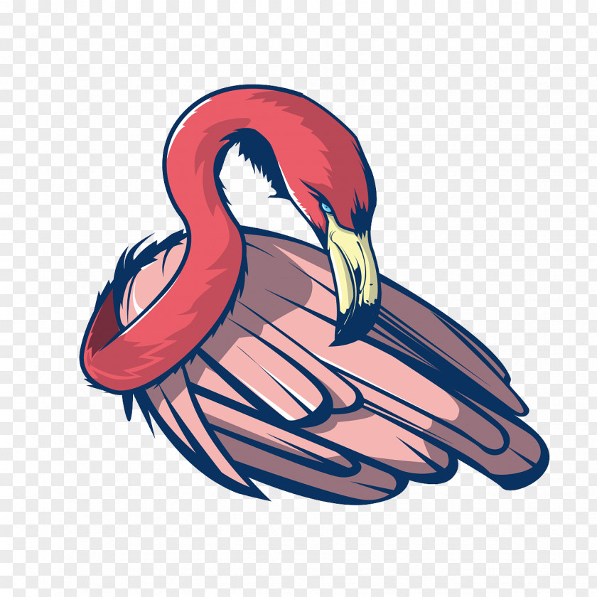 Battle Icon Swans Goose Ducks Illustration Bird PNG