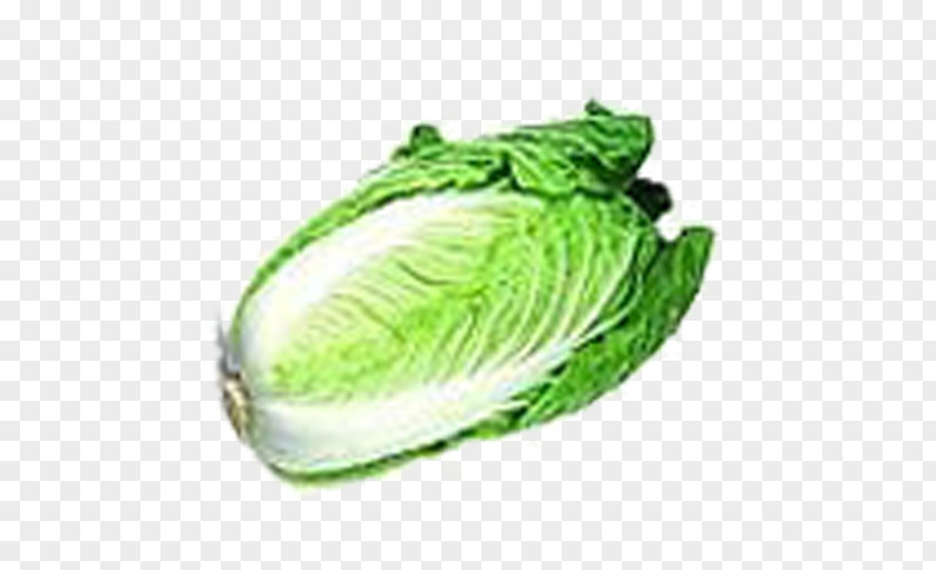 Cabbage Chinese Napa Vegetable Melon PNG