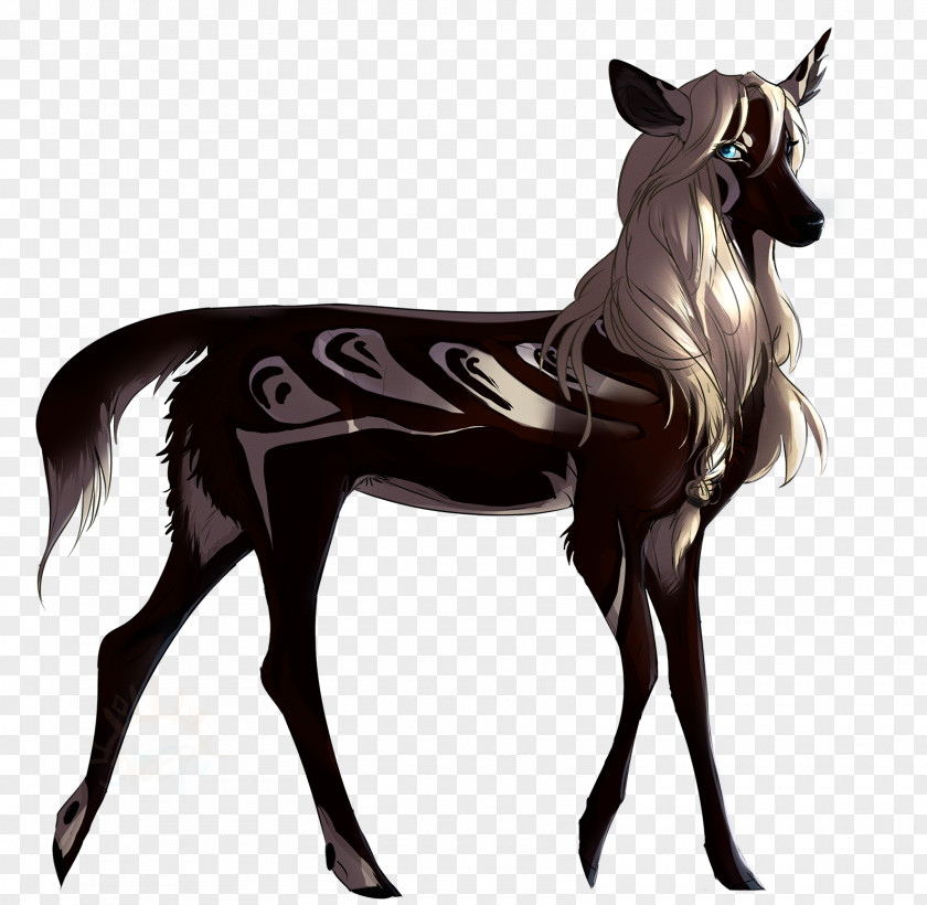 Mustang Pony Stallion Pack Animal Mane PNG
