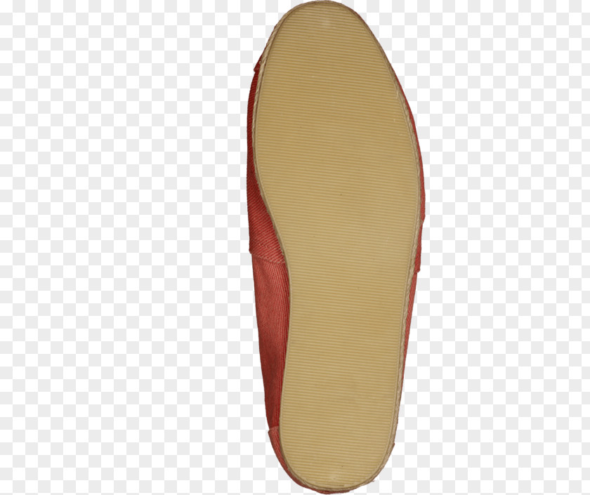 Beach Essentials Slipper Flip-flops Shoe PNG