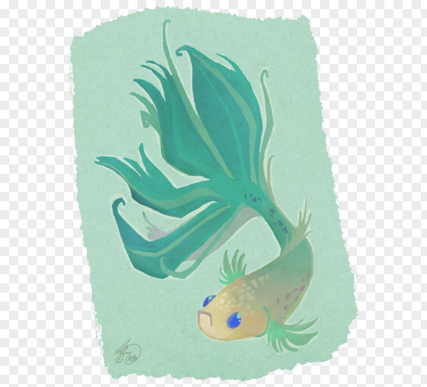 Betta Infographic Marine Biology Fish Mammal Illustration PNG